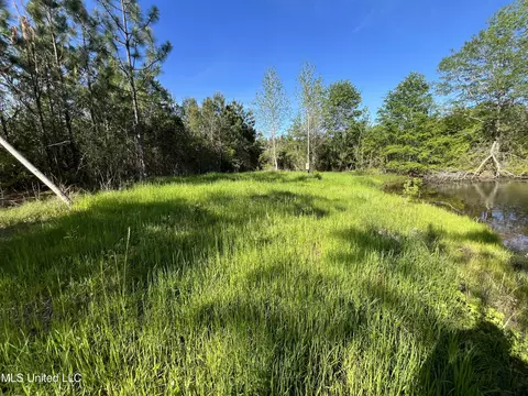 Us-51, Bogue Chitto, MS 39629 photo 5