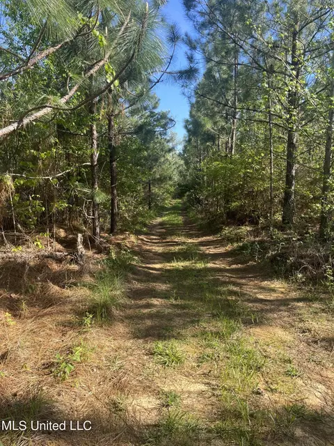 Us-51, Bogue Chitto, MS 39629 photo 8