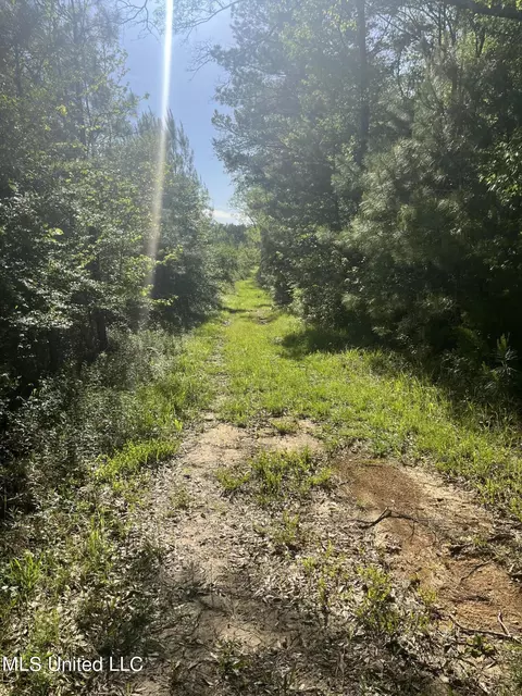 Us-51, Bogue Chitto, MS 39629 photo 11