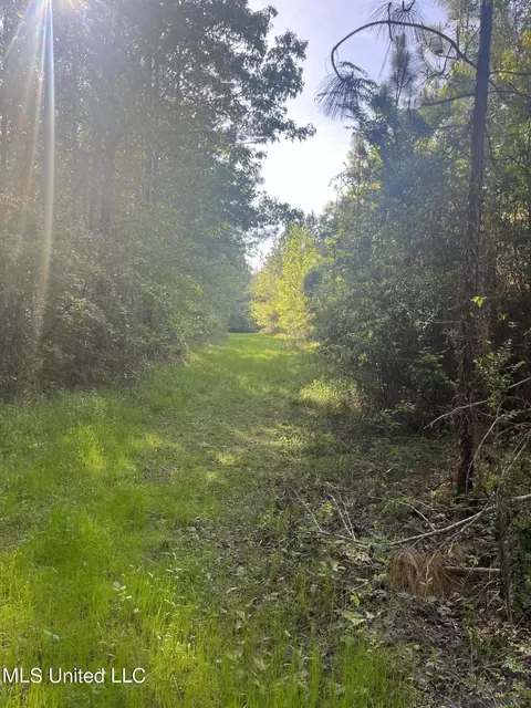 Us-51, Bogue Chitto, MS 39629 photo 17