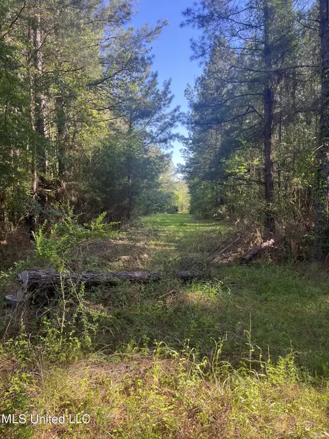 Us-51, Bogue Chitto, MS 39629 photo 16