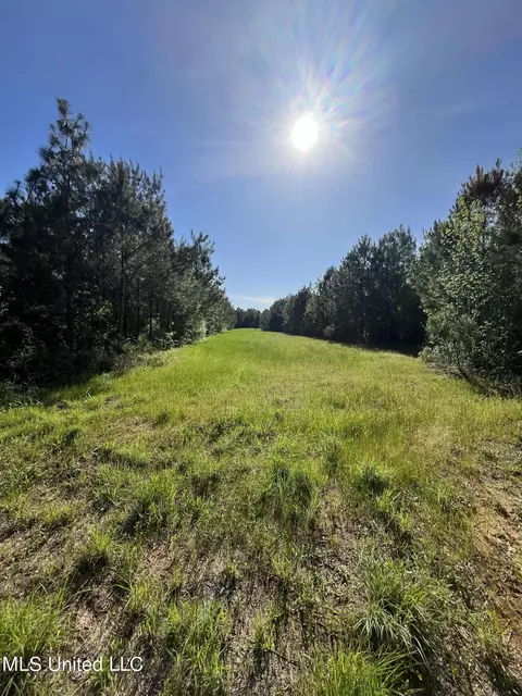 Us-51, Bogue Chitto, MS 39629 photo 6
