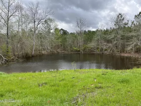 Us-51, Bogue Chitto, MS 39629 photo 22