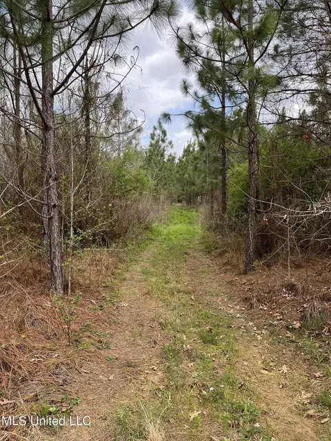 Us-51, Bogue Chitto, MS 39629 photo 20