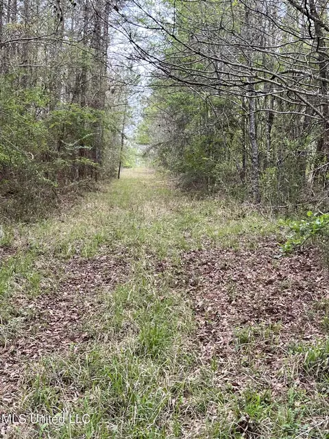 Us-51, Bogue Chitto, MS 39629 photo 19