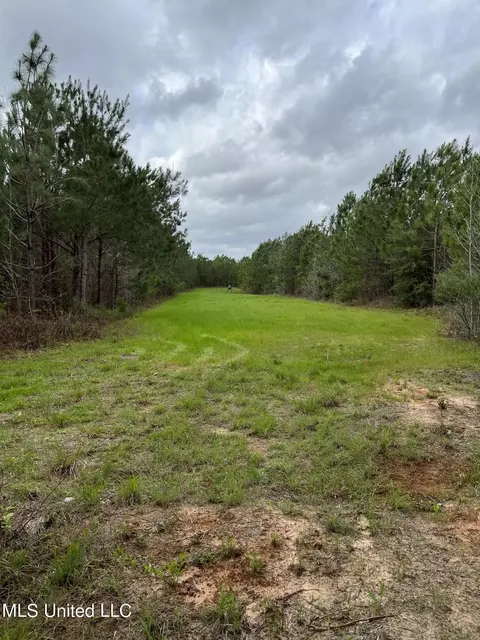 Us-51, Bogue Chitto, MS 39629 photo 18