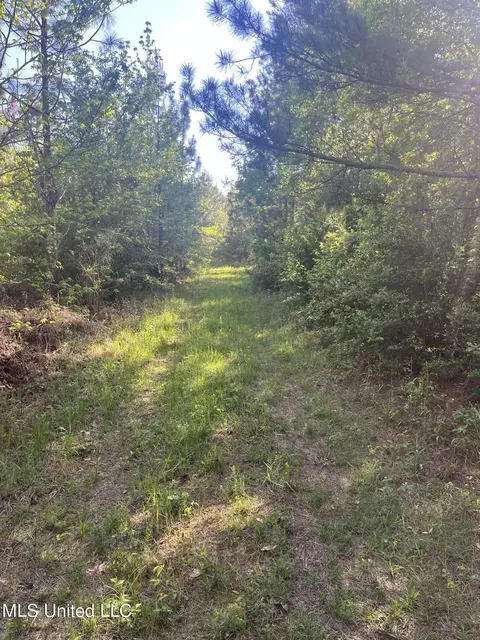 Us-51, Bogue Chitto, MS 39629 photo 12