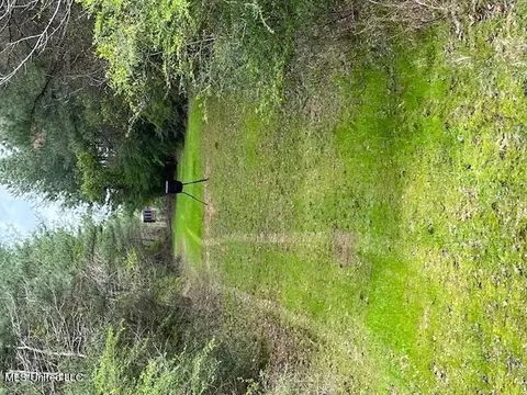 Us-51, Bogue Chitto, MS 39629