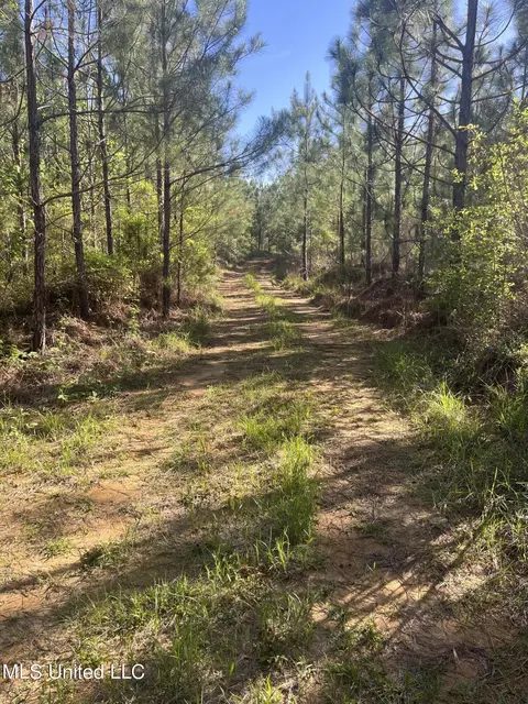 Us-51, Bogue Chitto, MS 39629 photo 7