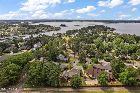 View/Area - 204 Catherine Cor, Brandon, MS 39047 photo 2 of 2