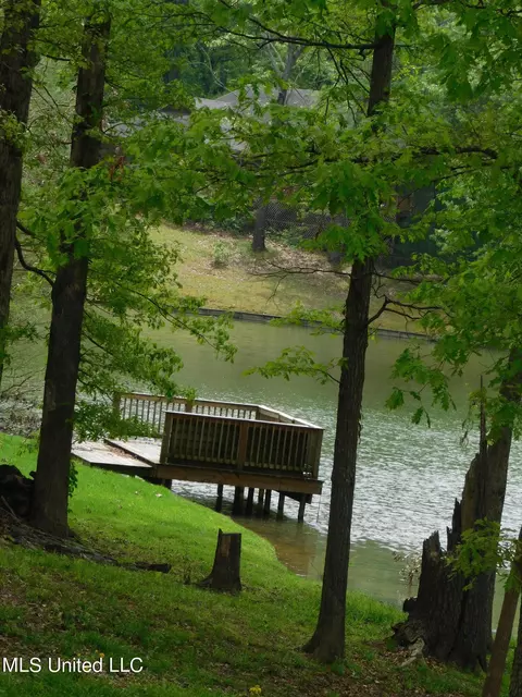 View/Area - 1457 N Thunderbird, Hernando, MS 38632 photo 2 of 3