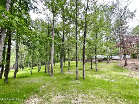 View/Area - 258 Hebron Hill Dr, Brandon, MS 39042 photo 1 of 3
