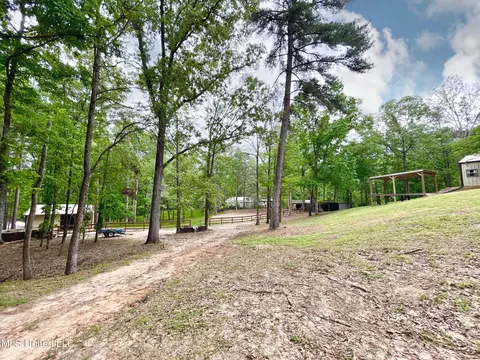 Exterior - 258 Hebron Hill Dr, Brandon, MS 39042 photo 15 of 33