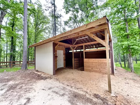 Exterior - 258 Hebron Hill Dr, Brandon, MS 39042 photo 23 of 33