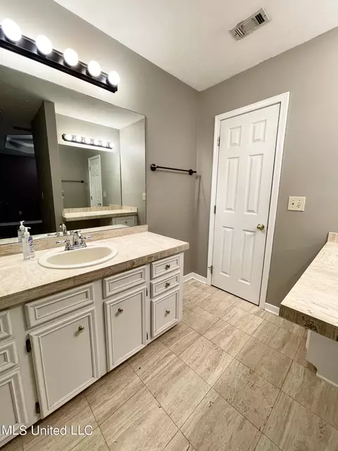 Bath - 258 Hebron Hill Dr, Brandon, MS 39042 photo 6 of 12