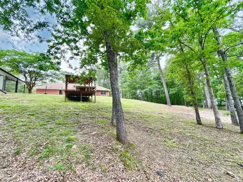 Exterior - 258 Hebron Hill Dr, Brandon, MS 39042 photo 17 of 33