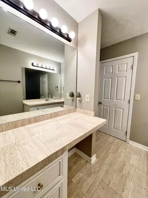 Bath - 258 Hebron Hill Dr, Brandon, MS 39042 photo 5 of 12