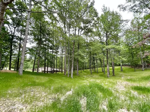 View/Area - 258 Hebron Hill Dr, Brandon, MS 39042 photo 3 of 3