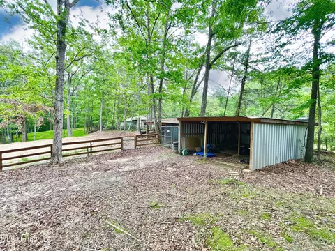 Exterior - 258 Hebron Hill Dr, Brandon, MS 39042 photo 32 of 33