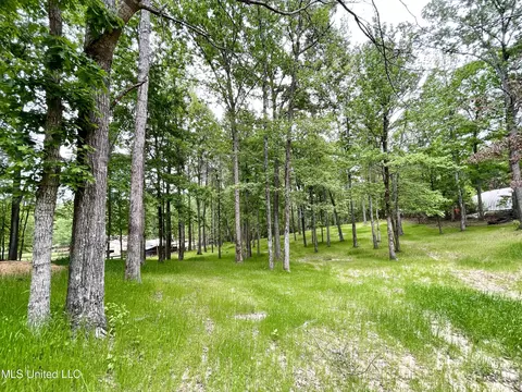 Exterior - 258 Hebron Hill Dr, Brandon, MS 39042 photo 25 of 33