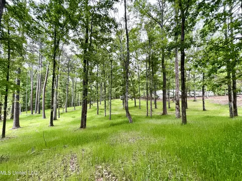 View/Area - 258 Hebron Hill Dr, Brandon, MS 39042 photo 2 of 3
