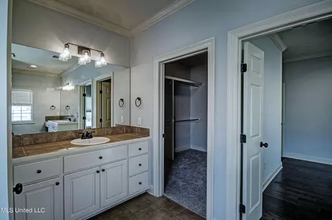 Bath - 336 Towne St, Brandon, MS 39042 photo 2 of 3