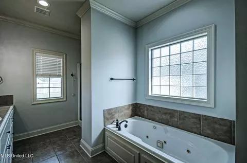 Bath - 336 Towne St, Brandon, MS 39042 photo 1 of 3