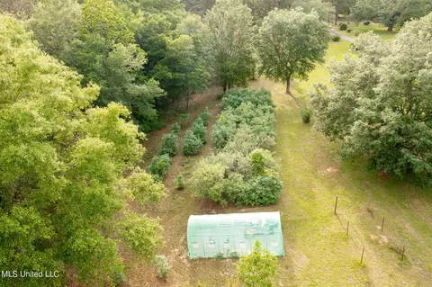 View/Area - 47 Mansfield Rd, Picayune, MS 39466 photo 10 of 17