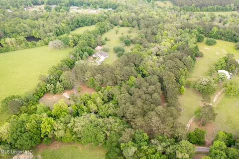 View/Area - 47 Mansfield Rd, Picayune, MS 39466 photo 12 of 17