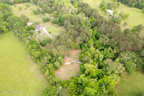 View/Area - 47 Mansfield Rd, Picayune, MS 39466 photo 13 of 17