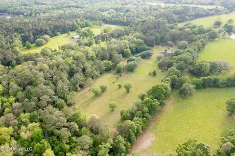 View/Area - 47 Mansfield Rd, Picayune, MS 39466 photo 16 of 17