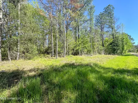 Sleepy Hollow Road, Terry, MS 39170