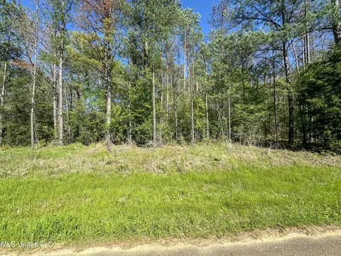 Sleepy Hollow Road, Terry, MS 39170 photo 2
