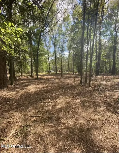 140 Big Creek Dr, Lucedale, MS 39452 photo 2