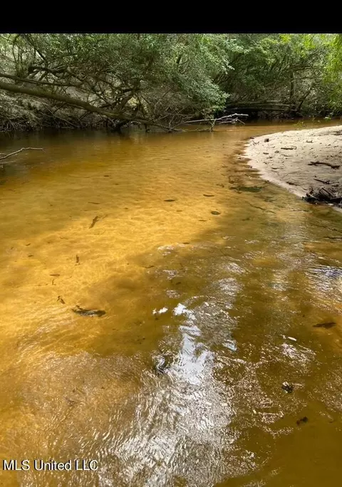 140 Big Creek Dr, Lucedale, MS 39452