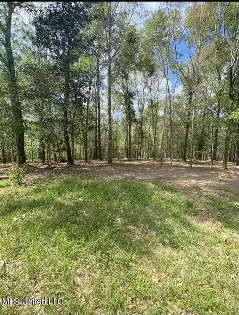 140 Big Creek Dr, Lucedale, MS 39452 photo 4