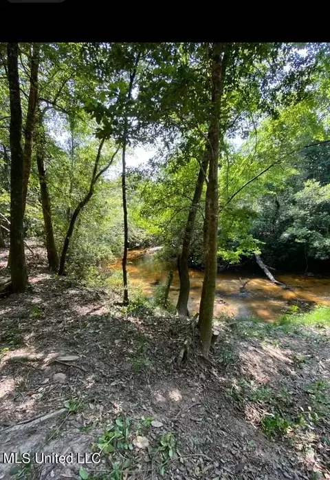 140 Big Creek Dr, Lucedale, MS 39452 photo 3