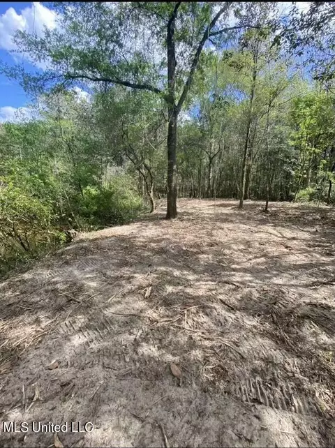 140 Big Creek Dr, Lucedale, MS 39452 photo 5