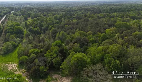 Wyatte-tyro Road, Senatobia, MS 38668