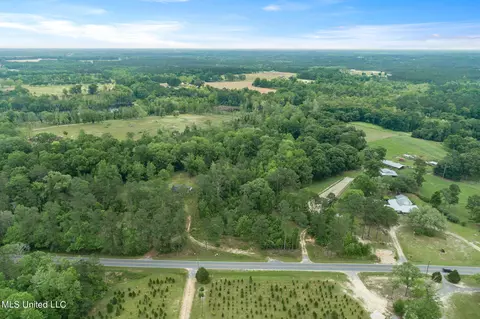 13 Ac Basin Central Rd, Lucedale, MS 39452 photo 2
