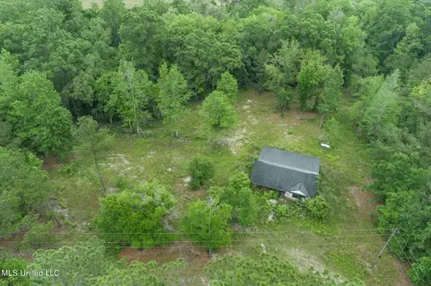 13 Ac Basin Central Rd, Lucedale, MS 39452 photo 5