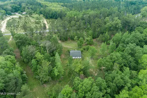 13 Ac Basin Central Rd, Lucedale, MS 39452 photo 4