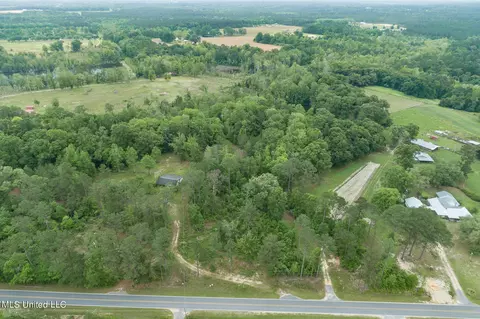 13 Ac Basin Central Rd, Lucedale, MS 39452 photo 3