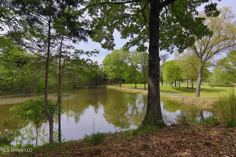 View/Area - 3555 Bright Rd, Hernando, MS 38632 photo 5 of 8