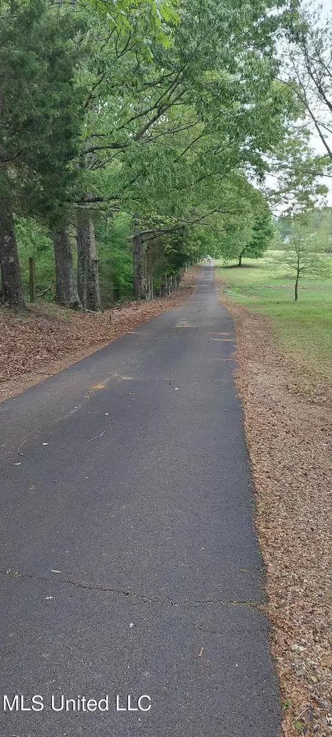 View/Area - 3555 Bright Rd, Hernando, MS 38632 photo 2 of 8