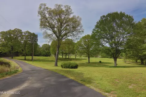 View/Area - 3555 Bright Rd, Hernando, MS 38632 photo 4 of 8