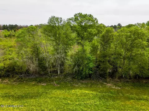 Cooper Road, Magee, MS 39111 photo 3