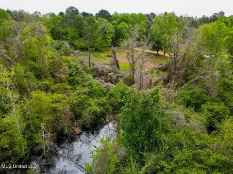 Cooper Road, Magee, MS 39111 photo 6