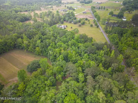 0 Billy Hinton Rd, Lucedale, MS 39452 photo 5