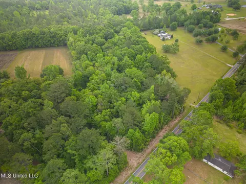 0 Billy Hinton Rd, Lucedale, MS 39452 photo 4